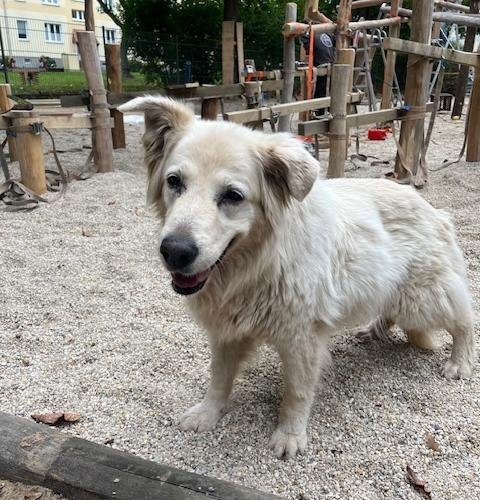 Neugestaltung des Schulhofs