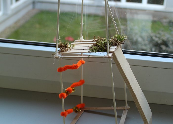 Neugestaltung des Schulhofs